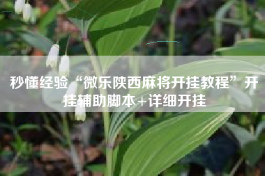 秒懂经验“微乐陕西麻将开挂教程	”开挂辅助脚本+详细开挂