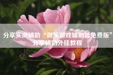 分享实测辅助“微乐游戏辅助器免费版	”分享辅助外挂教程