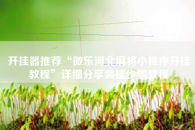 开挂器推荐“微乐河北麻将小程序开挂教程”详细分享装挂步骤教程