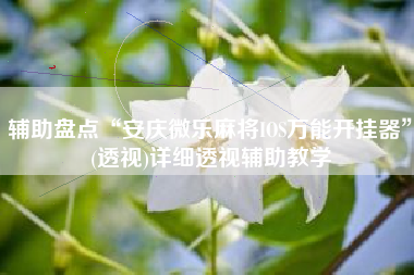 辅助盘点“安庆微乐麻将IOS万能开挂器”(透视)详细透视辅助教学