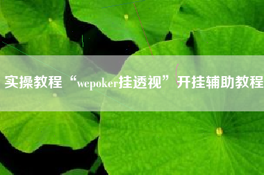 实操教程“wepoker挂透视”开挂辅助教程