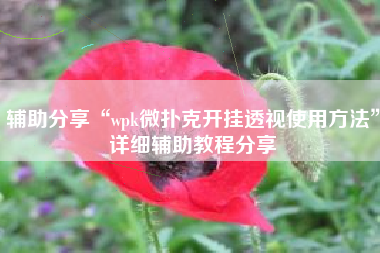 辅助分享“wpk微扑克开挂透视使用方法	”详细辅助教程分享