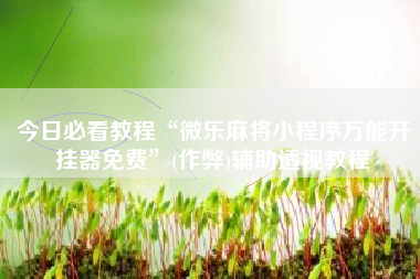 今日必看教程“微乐麻将小程序万能开挂器免费	”(作弊)辅助透视教程