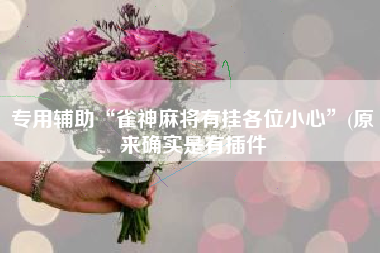 专用辅助“雀神麻将有挂各位小心”(原来确实是有插件