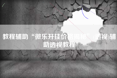 教程辅助“微乐开挂价格揭秘	”(透视)辅助透视教程