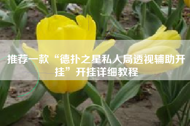 推荐一款“德扑之星私人局透视辅助开挂”开挂详细教程