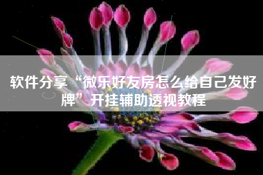 软件分享“微乐好友房怎么给自己发好牌	”开挂辅助透视教程