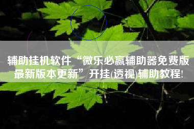 辅助挂机软件“微乐必赢辅助器免费版最新版本更新	”开挂(透视)辅助教程!