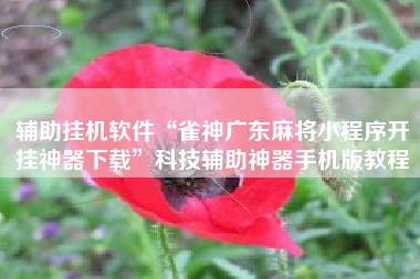 辅助挂机软件“雀神广东麻将小程序开挂神器下载”科技辅助神器手机版教程