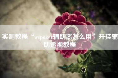 实测教程“wepoker辅助器怎么用”开挂辅助透视教程