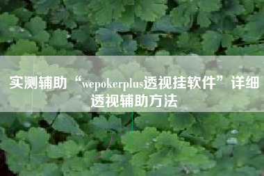 实测辅助“wepokerplus透视挂软件”详细透视辅助方法