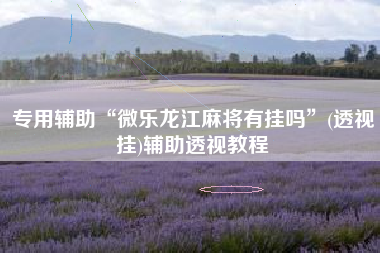 专用辅助“微乐龙江麻将有挂吗	”(透视挂)辅助透视教程