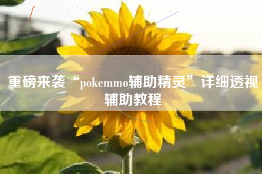 重磅来袭“pokemmo辅助精灵	”详细透视辅助教程