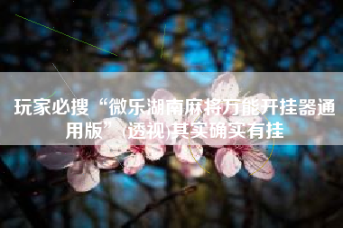 玩家必搜“微乐湖南麻将万能开挂器通用版”(透视)其实确实有挂