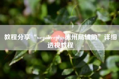 教程分享“wepokerplus德州局辅助”详细透视教程
