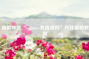辅助神器“wepoker有透视吗”开挂辅助教程
