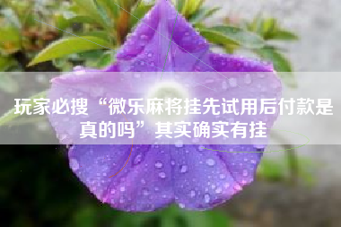 玩家必搜“微乐麻将挂先试用后付款是真的吗”其实确实有挂