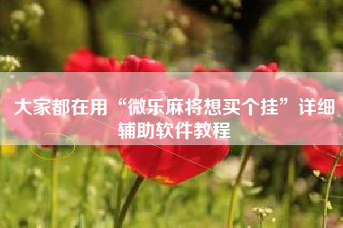 大家都在用“微乐麻将想买个挂”详细辅助软件教程