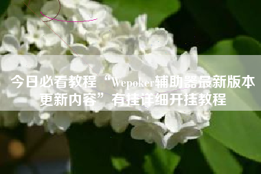 今日必看教程“Wepoker辅助器最新版本更新内容	”有挂详细开挂教程