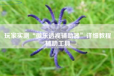 玩家实测“微乐透视辅助器	”详细教程辅助工具