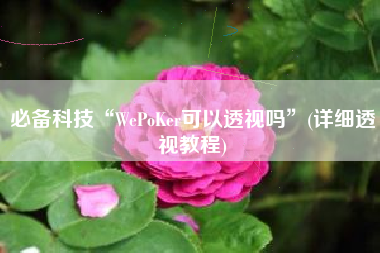 必备科技“WePoKer可以透视吗	”(详细透视教程)