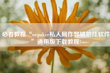必看教程“wepoker私人局作弊辅助挂软件	”通用版下载教程!