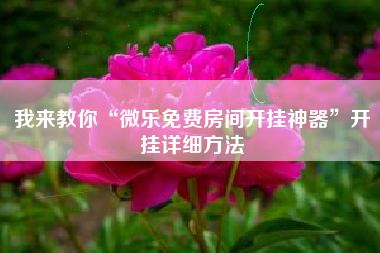 我来教你“微乐免费房间开挂神器”开挂详细方法