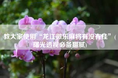 教大家使用“龙江微乐麻将有没有挂”(曝光透视必备猫腻)