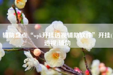 辅助盘点“wpk开挂透视辅助软件	”开挂(透视)辅助