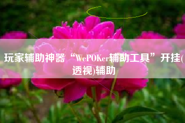 玩家辅助神器“WePOKer辅助工具”开挂(透视)辅助
