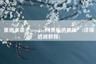重磅来袭“wepoker网页版透视挂”(详细透视教程)