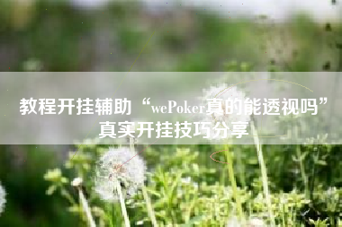 教程开挂辅助“wePoker真的能透视吗	”真实开挂技巧分享