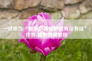 一键操作“微乐跑得快到底有没有挂”(作弊)辅助透视教程