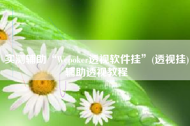 实测辅助“Wepoker透视软件挂”(透视挂)辅助透视教程
