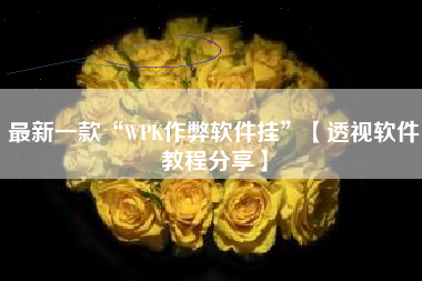 最新一款“WPK作弊软件挂	”【透视软件教程分享】