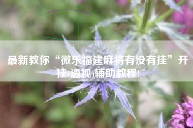 最新教你“微乐福建麻将有没有挂	”开挂(透视)辅助教程!