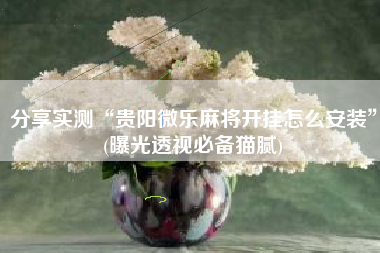 分享实测“贵阳微乐麻将开挂怎么安装”(曝光透视必备猫腻)