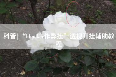 科普|“hhpoker作弊挂”透视开挂辅助教程