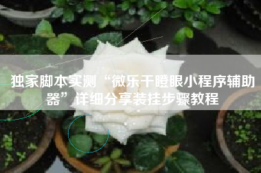 独家脚本实测“微乐干瞪眼小程序辅助器”详细分享装挂步骤教程