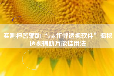 实测神器辅助“wpk作弊透视软件”揭秘透视辅助万能挂用法