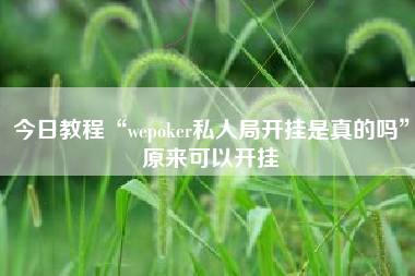 今日教程“wepoker私人局开挂是真的吗”原来可以开挂