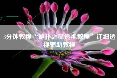 3分钟教程“德扑之星透视教程”详细透视辅助教程