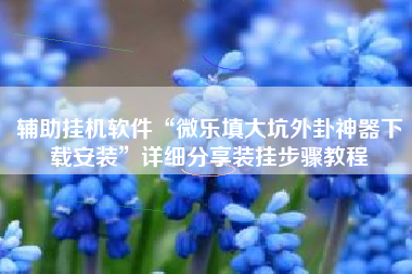 辅助挂机软件“微乐填大坑外卦神器下载安装”详细分享装挂步骤教程