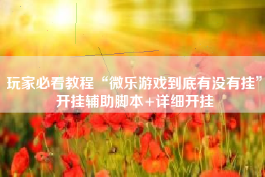 玩家必看教程“微乐游戏到底有没有挂”开挂辅助脚本+详细开挂