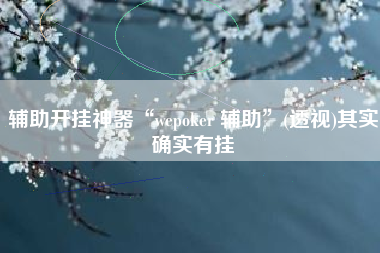 辅助开挂神器“wepoker 辅助	”(透视)其实确实有挂