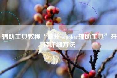 辅助工具教程“德州wepoker辅助工具	”开挂详细方法