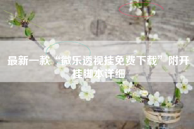 最新一款“微乐透视挂免费下载”附开挂脚本详细