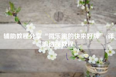 辅助教程分享“微乐跑的快来好牌”(详细透视教程)