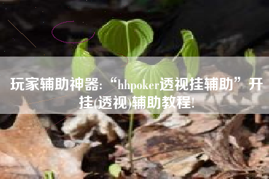 玩家辅助神器:“hhpoker透视挂辅助”开挂(透视)辅助教程!