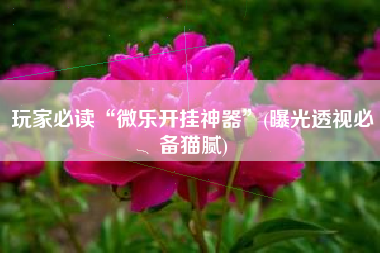 玩家必读“微乐开挂神器	”(曝光透视必备猫腻)